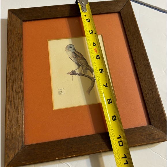 J. F. LANSDOWNE Matted and Framed Print Tyto alba Barn Owl 1967 - Picture 8 of 11